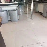 تعدادی نیروی خانم