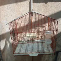 قفس پرنده