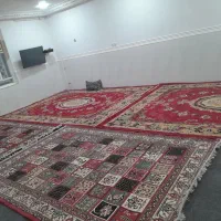 قالی|فرش|رامهرمز, |دیوار