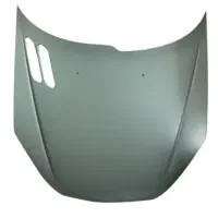کاپوت و گلگیر 206 آکبند