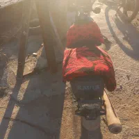 موتور پارکینگی