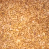 بادام کوهی تمیز
