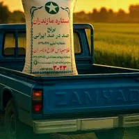 برنج ایرانی فجر دانه بلند ومجلسی جزئی وکلی