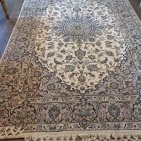 یک جفت 6 متری اردکان