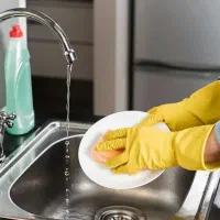 نیرو خانم جهت رستوران