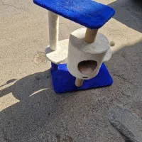 خانه گربه