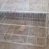 قفس پرنده