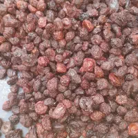 آلوی خوشمزه