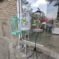 عروس هلندی کوتوله مرغ عشق فنچ طوطی ملنگو دارو