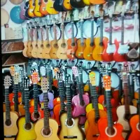 گیتار گودین سیم پایه و کاور