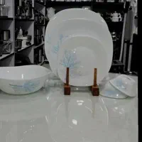 سرویس آرکوپال ۲۴ نفره