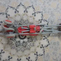 کالسکه عصایی