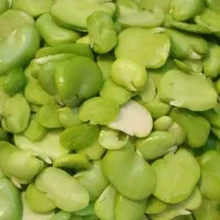 مغزباقالی سبز