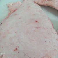 فروش عمده کاهان شتر به صورت عمده‌ای کیفیت درجه یک