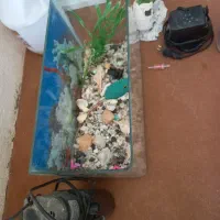 آکواریوم شیشه خم