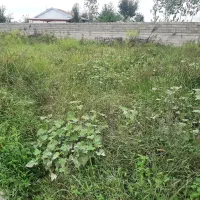 زمین گوراب زرمیخ