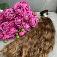 صادرکننده مو|آرایشی، بهداشتی، درمانی|مسجد سلیمان, |دیوار