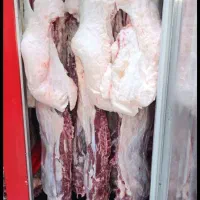 عرضه گوشت گرم
