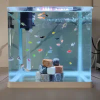 آکواریوم آماده شرکتی با ماهی و لوازم