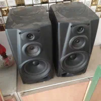 باندضبط