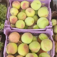 خرید مستقیم انگور -هلو ارگانیک از باغ(فسا داخل شهر