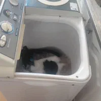 لباسشویی دوقلو