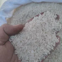 برنج‌ایرانی‌خالص‌درود