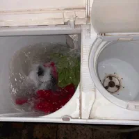 لباسشویی دوقولو