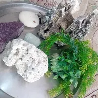 آکواریوم|ماهی|اصفهان, شیخ طوسی|دیوار