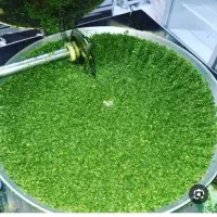 استخدام فروشنده خانم در سبزی مارکت