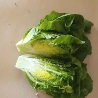 لیتل جم شیرین و مغز دار