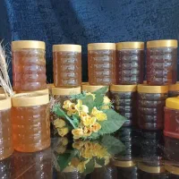 عسل با کیفیت و قیمت مناسب