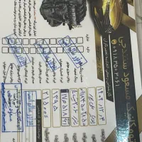 فروش 206 مدل 95|خودرو سواری و وانت|بانه, |دیوار