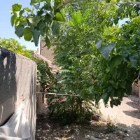 زمین-260متری-سند-ششدانگ