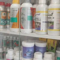 سم سوسک و موش و مورچه و مگس و کک وکنه