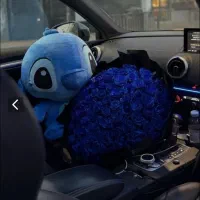 گل روبانی و دلاری