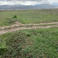 زمین مناسب  باغچه