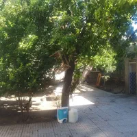 اجاره خانه ویلایی