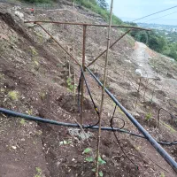 نیروی کار جهت کارگاه بلوک زنی ولوله بتنی