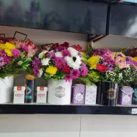 گل دسته گل باکس گیاه طبیعی آپارتمان هدیه عالی