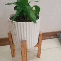گل و گلدان