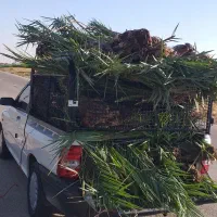 باربری با پراید وانت