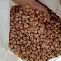 فندق درجه ۱ وشنوه کیلویی
