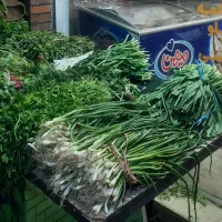 سبزیجات آماده ریحان
