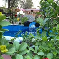 نیروی سالن کار و ظرفشور