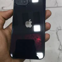 ip 13 normal