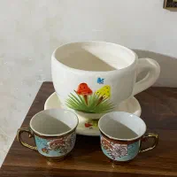 د/کوری همگی سالم