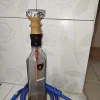 قیلون معمولی