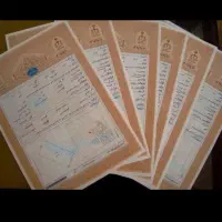 سند اجاره فیش