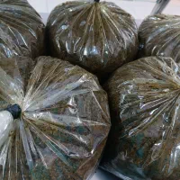 پخش عمده سبزی سرخ شده مخصوص رستوران